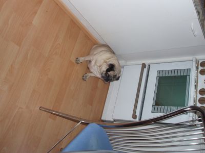 normal_Mama_keittiössä.jpg