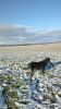 thumb_2014-11-05-152_(449x800).jpg